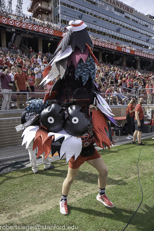 Stanford Homecoming 2022